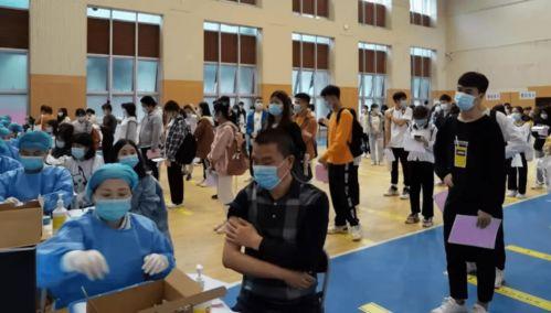 神石鉴华爆料最新消息视频,揭秘神秘视频背后的惊人真相  第3张